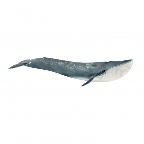 Schleich Animaux sauvages 14806 Baleine bleue 335785-03