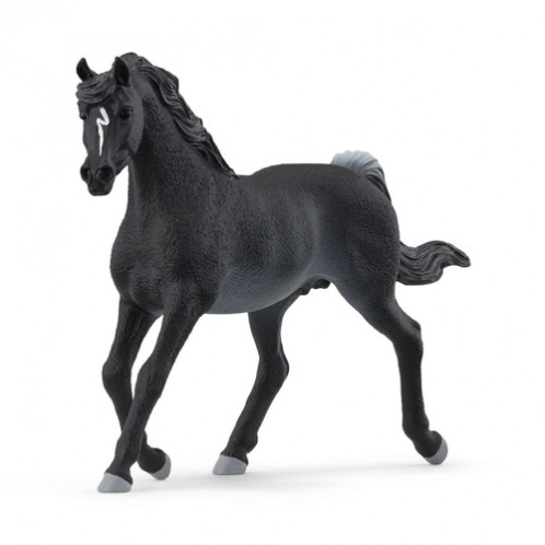 Schleich Club hippique 13981 Etalon arabe 857579-03