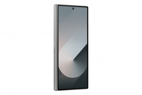 Samsung Galaxy Z Fold6 (256GB) argent 896793-017