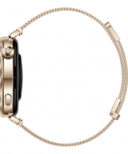 Huawei Watch GT 5 41mm or 139178-07