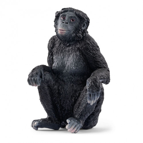 Schleich Animaux sauvages 14875 Femelle Bonobo 857649-02