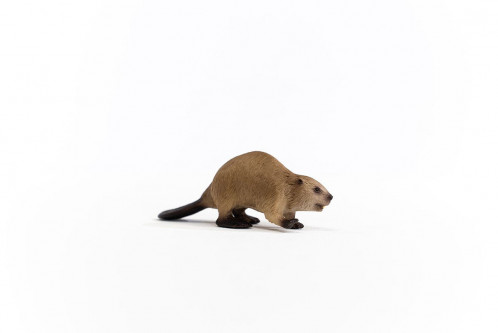 Schleich Animaux sauvages 14855 Castor 697132-05