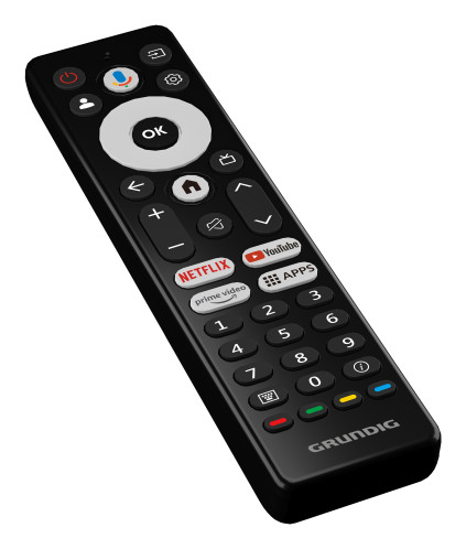 Grundig 40 GFB 6440 212454-011