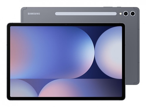 Samsung Galaxy Tab S10+ 5G (256GB) 12GB gris 112739-04