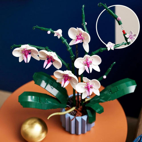 LEGO Creator Expert 10311 Orchidée 689131-06