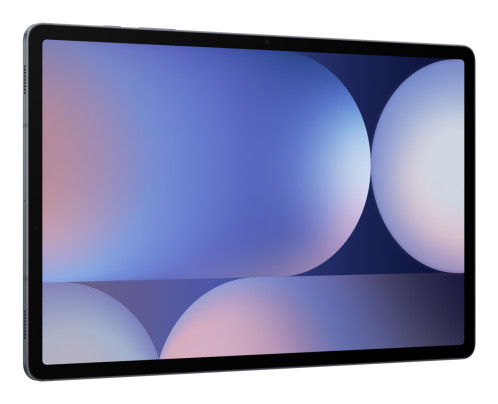 Samsung Galaxy Tab S10+ WiFi gris 239145-013