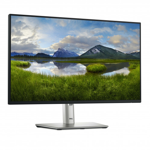 Dell P2425H 880728-013