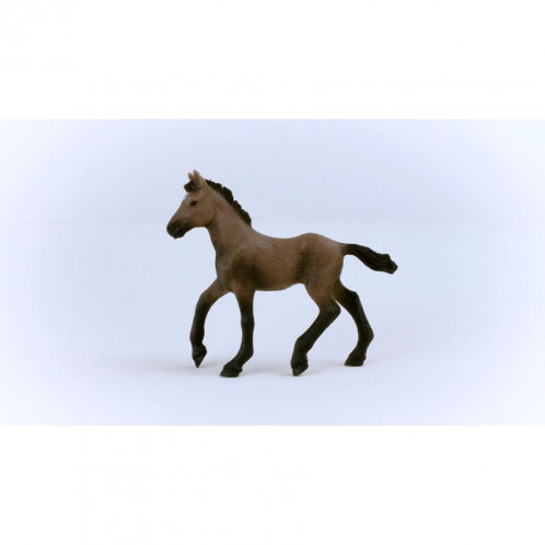Schleich Club hippique Poulain Paso Péruvien 13954 792696-06