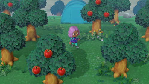 Nintendo Animal Crossing: New Horizons 521117-023