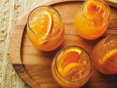 Ninja KT201EU inox, 1,7L 857999-036