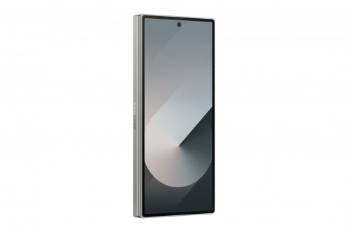 Samsung Galaxy Z Fold6 (256GB) argent 896793-017