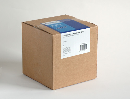 1x2 Epson SureLab SL-D 3000 Lustré 152 mm x 100 m 285 g 425035-02