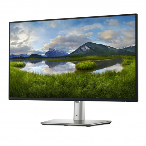 Dell P2425H 880728-013