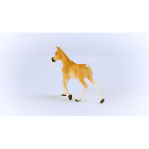 Schleich Club hippique Poulain Haflinger 13951 792647-06