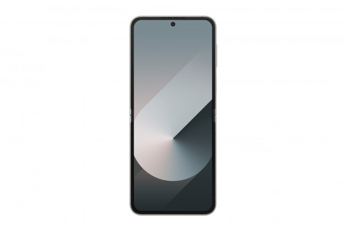 Samsung Galaxy Z Flip6 (512GB) argent 896765-011