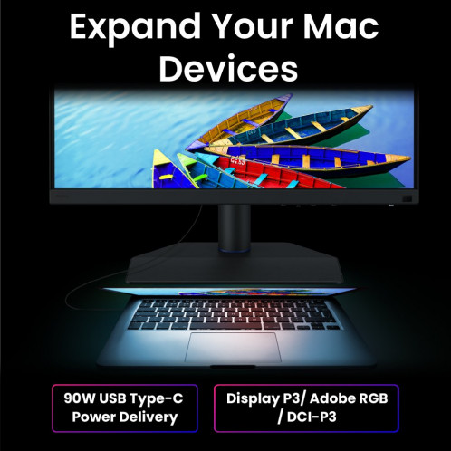 BenQ SW242Q 893244-013