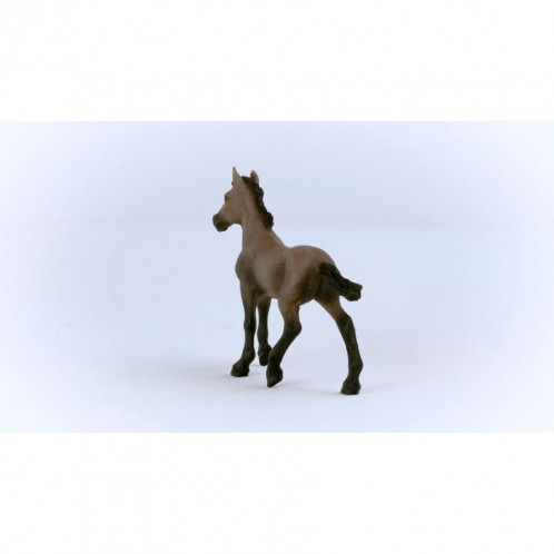 Schleich Club hippique Poulain Paso Péruvien 13954 792696-06