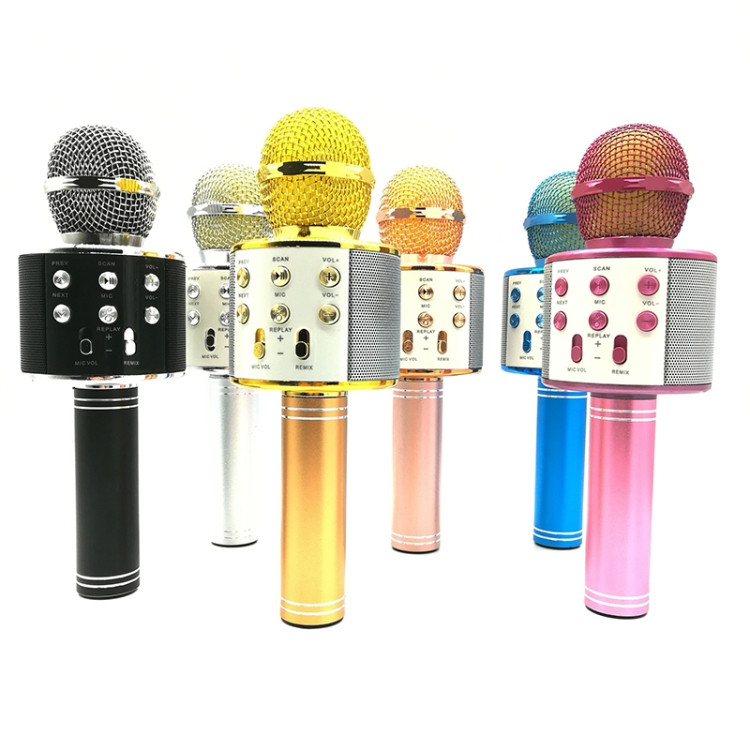 2-en-1 Karaoké Microphone Bluetooth Haut-parleur et lecteur multimédia  Microphone Bluetooth sans fil