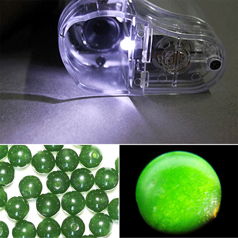 Microscope de poche à objectif avec grossissement de 20X - 40X avec lumière  LED (Argent)